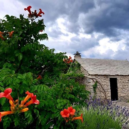 Country House Hacienda Selca  Exterior photo