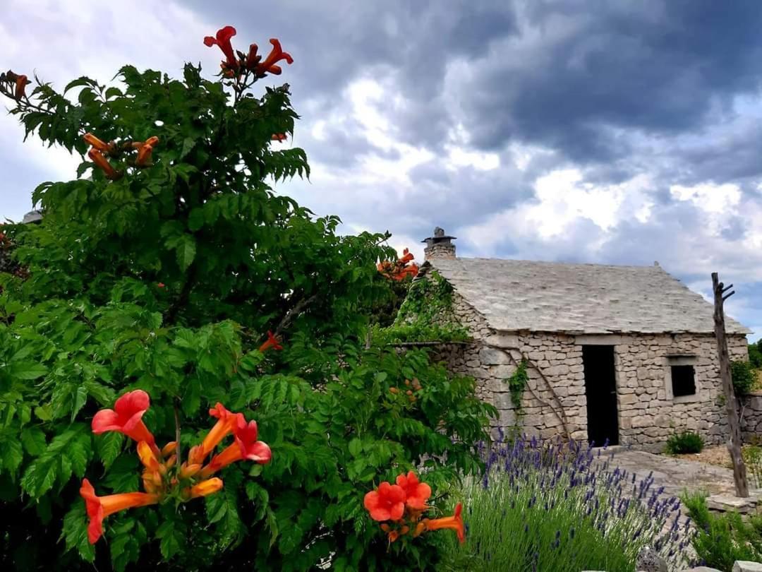 Country House Hacienda Selca  Exterior photo
